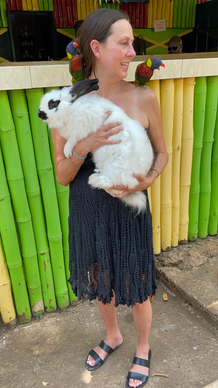 Guest holding rabbit with parrots