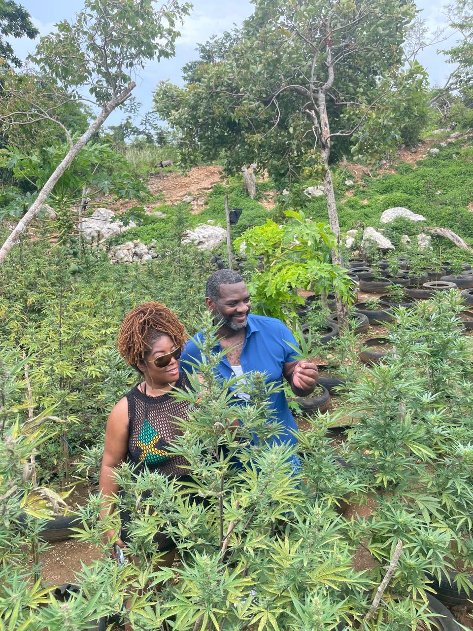Guests exploring herb farm